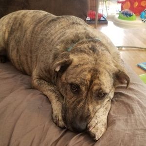 Meet your Posher, Caitlin